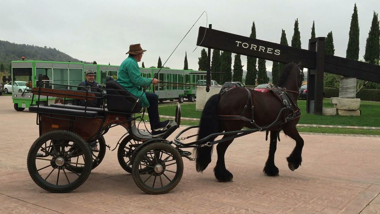 Hotel Rural Cal Ruget Vilobi Del Penedes Luaran gambar