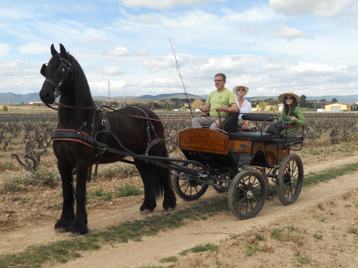 Hotel Rural Cal Ruget Vilobi Del Penedes Luaran gambar